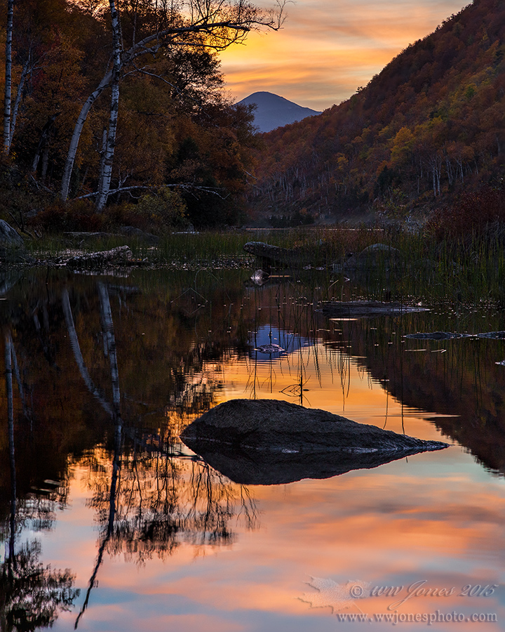 End of Day at the Pond