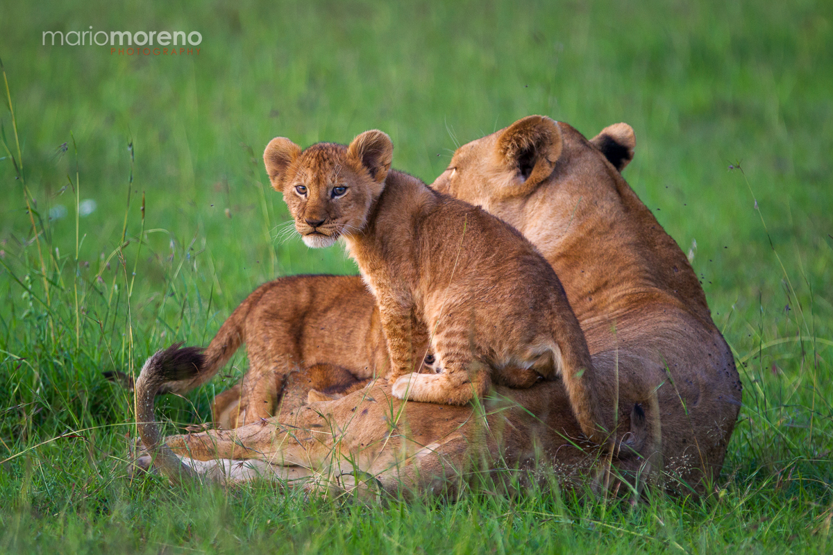 Sitting on Mom
