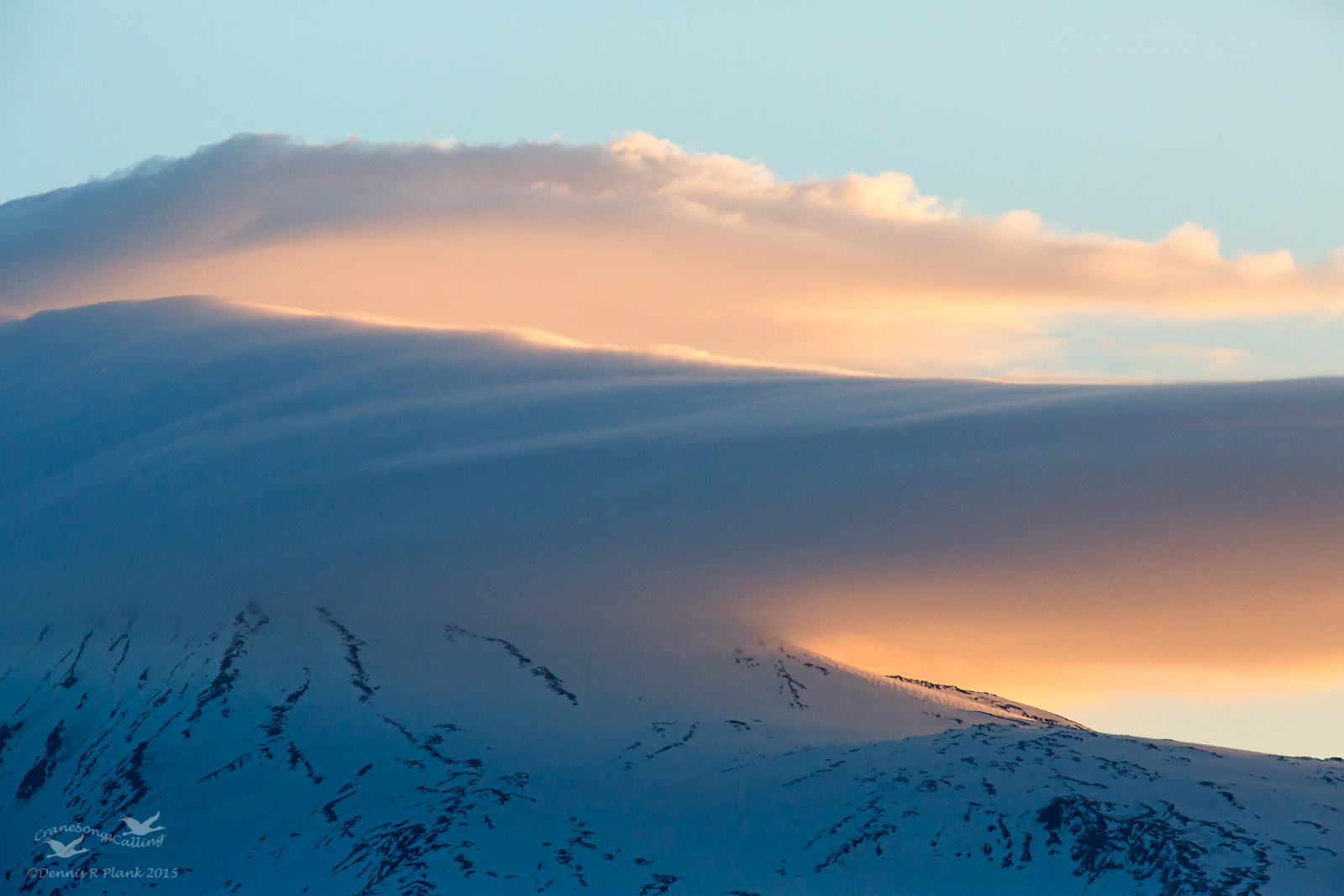 Mt. Adams at Dawn
