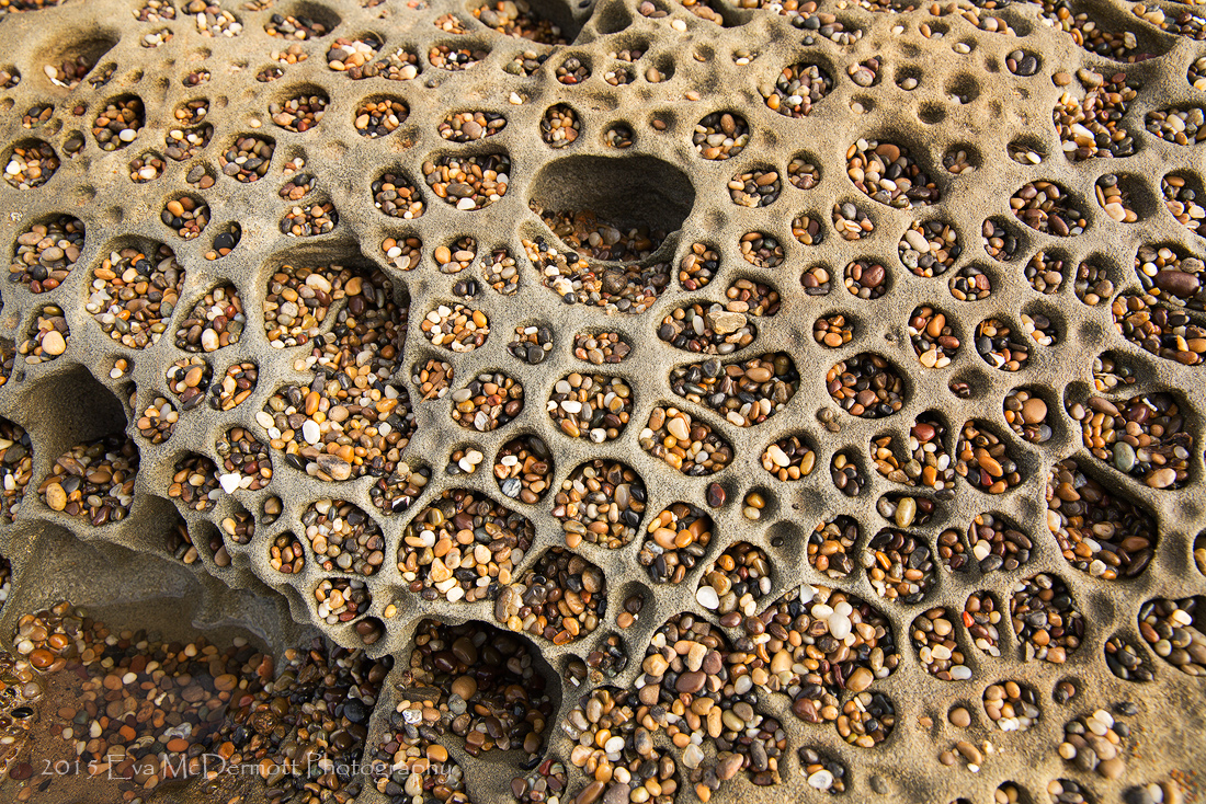 Bean Hollow Abstract