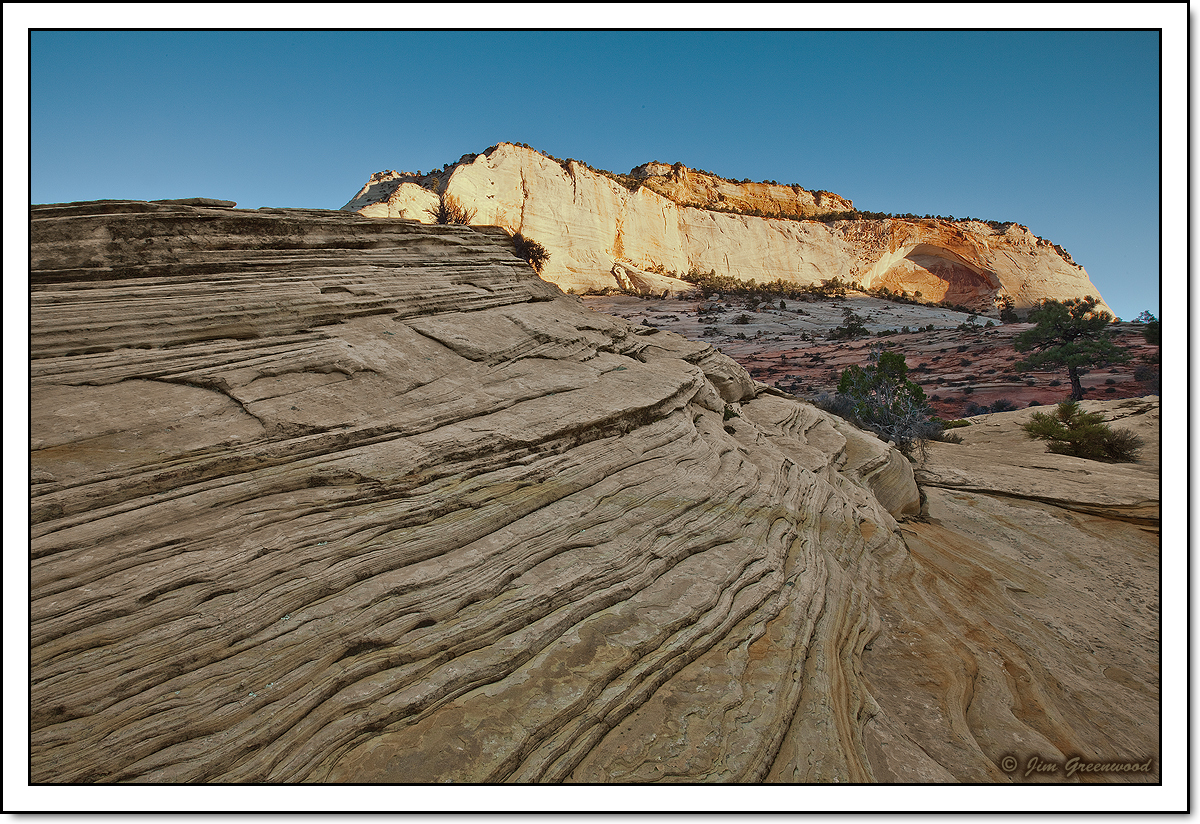 WC #708 - Zion Awakens