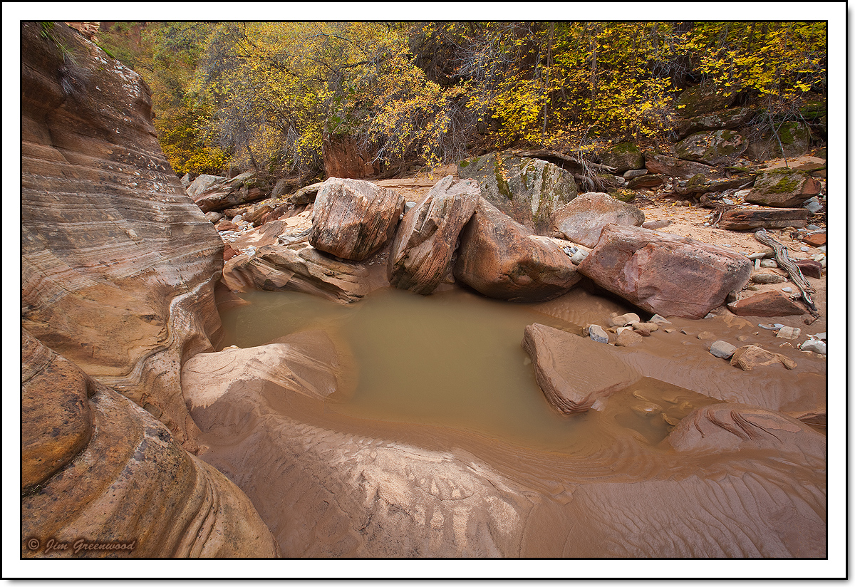Ephemeral Oasis