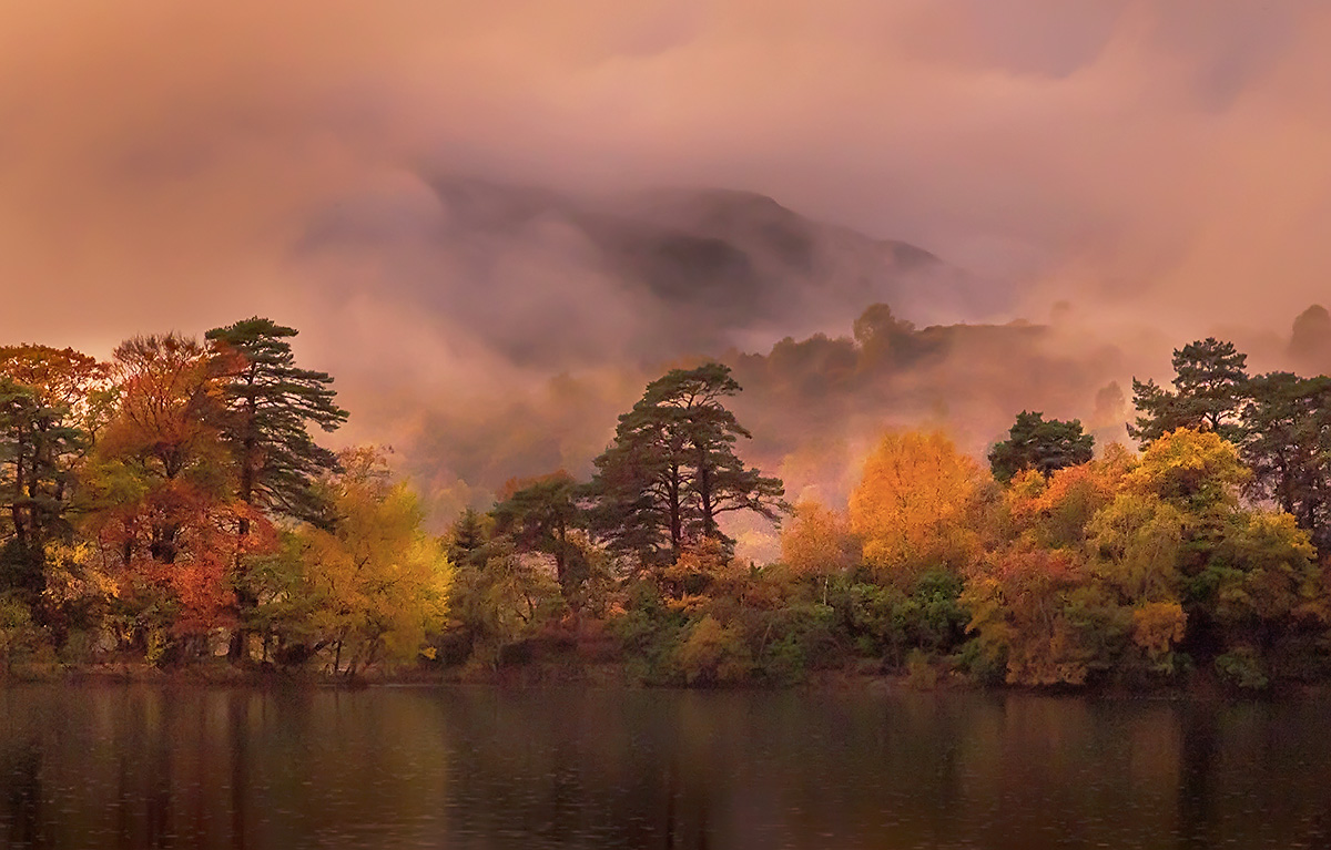 Autumn Colours