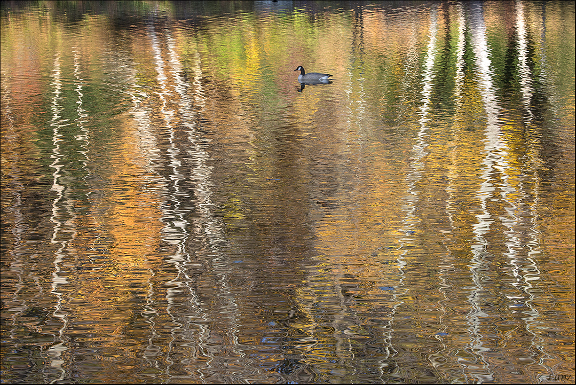 Goosing an Abstract