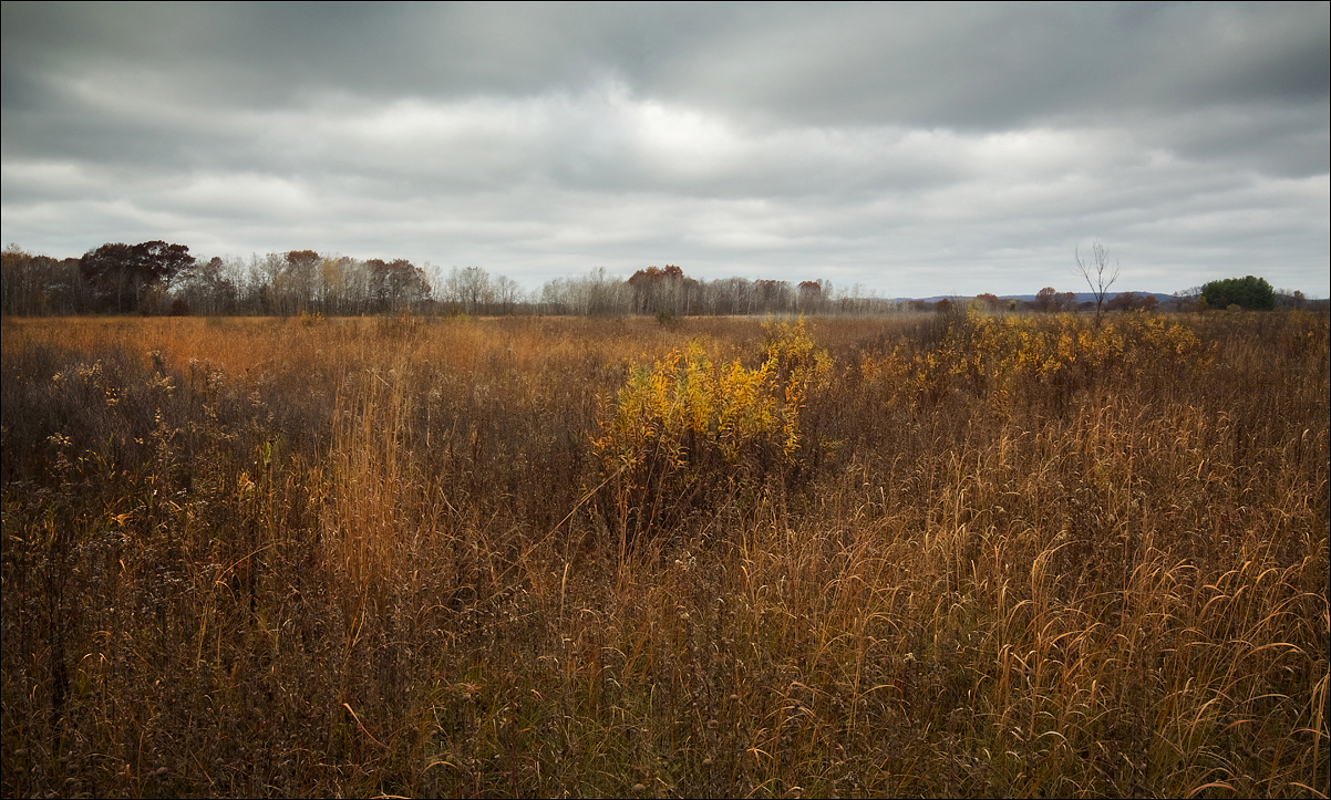 Moods of November