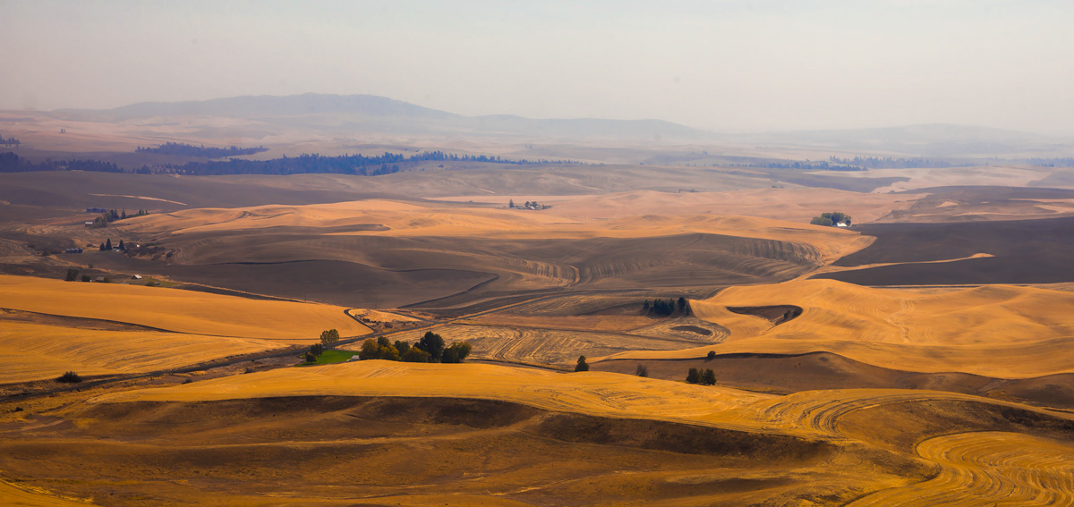 THE PALOUSE