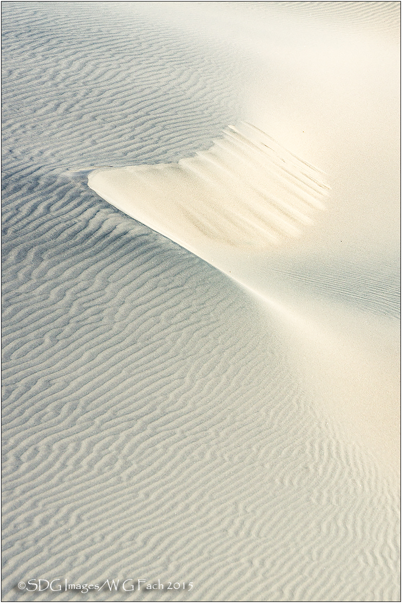 Windswept