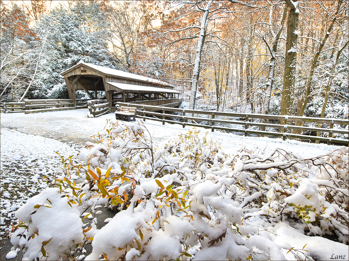 Early Snow (WC)