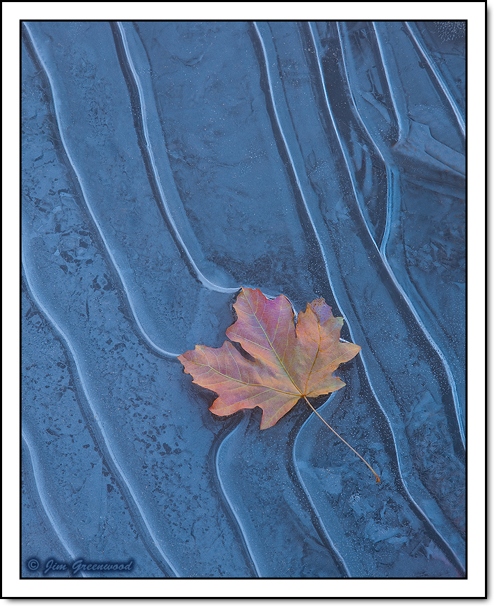 Autumn on Ice