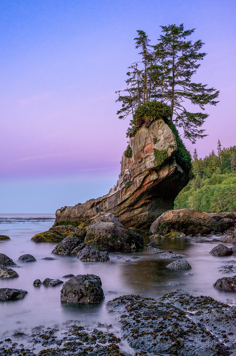 Sea Stack Sunset
