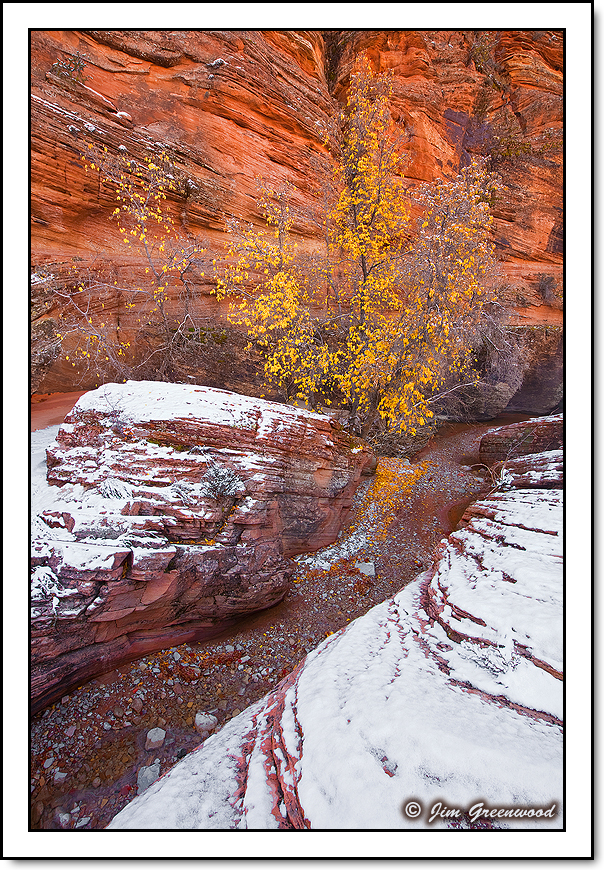Autumn Into Winter