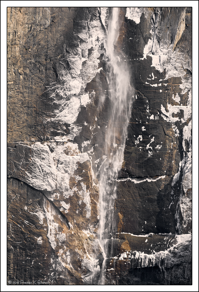 Yosemite Details #1