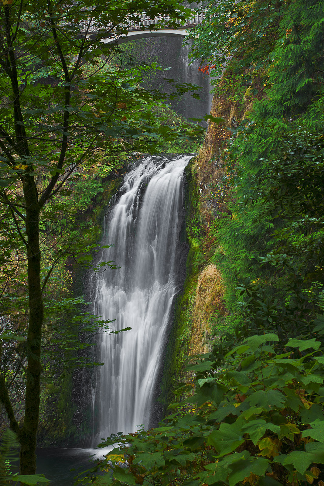 Lower Multnomah Falls