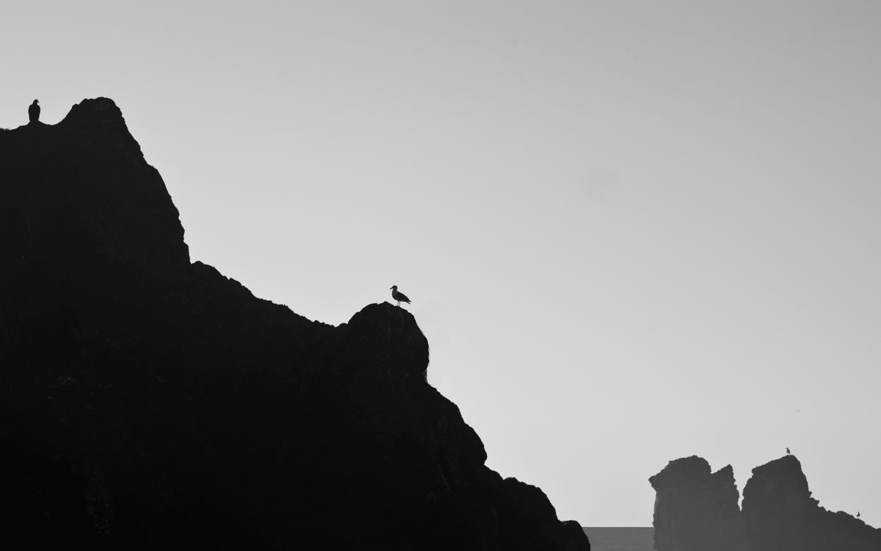 Sea Cliffs