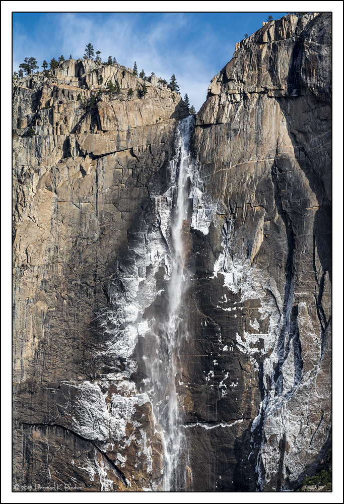 Yosemite Details #2