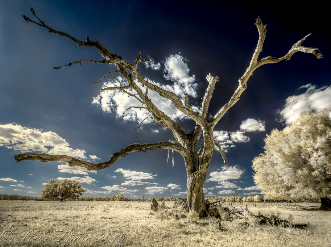 Withering Away
