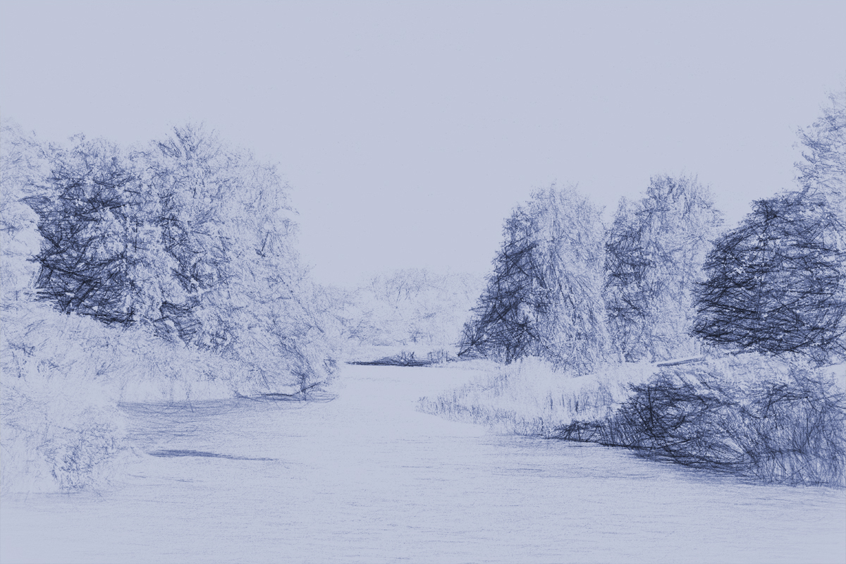 Summer into Winter