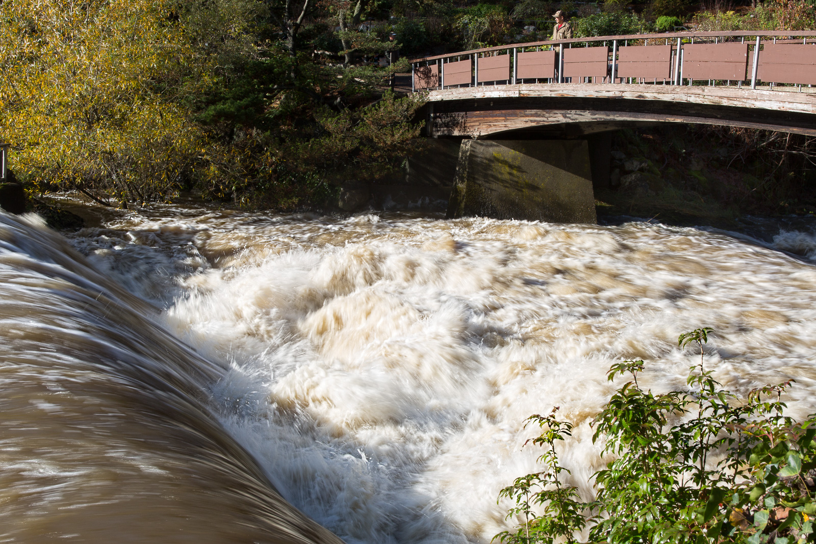 Tumwater Falls II