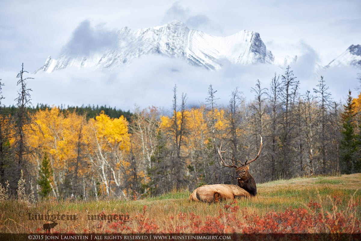Fall in the Rockies