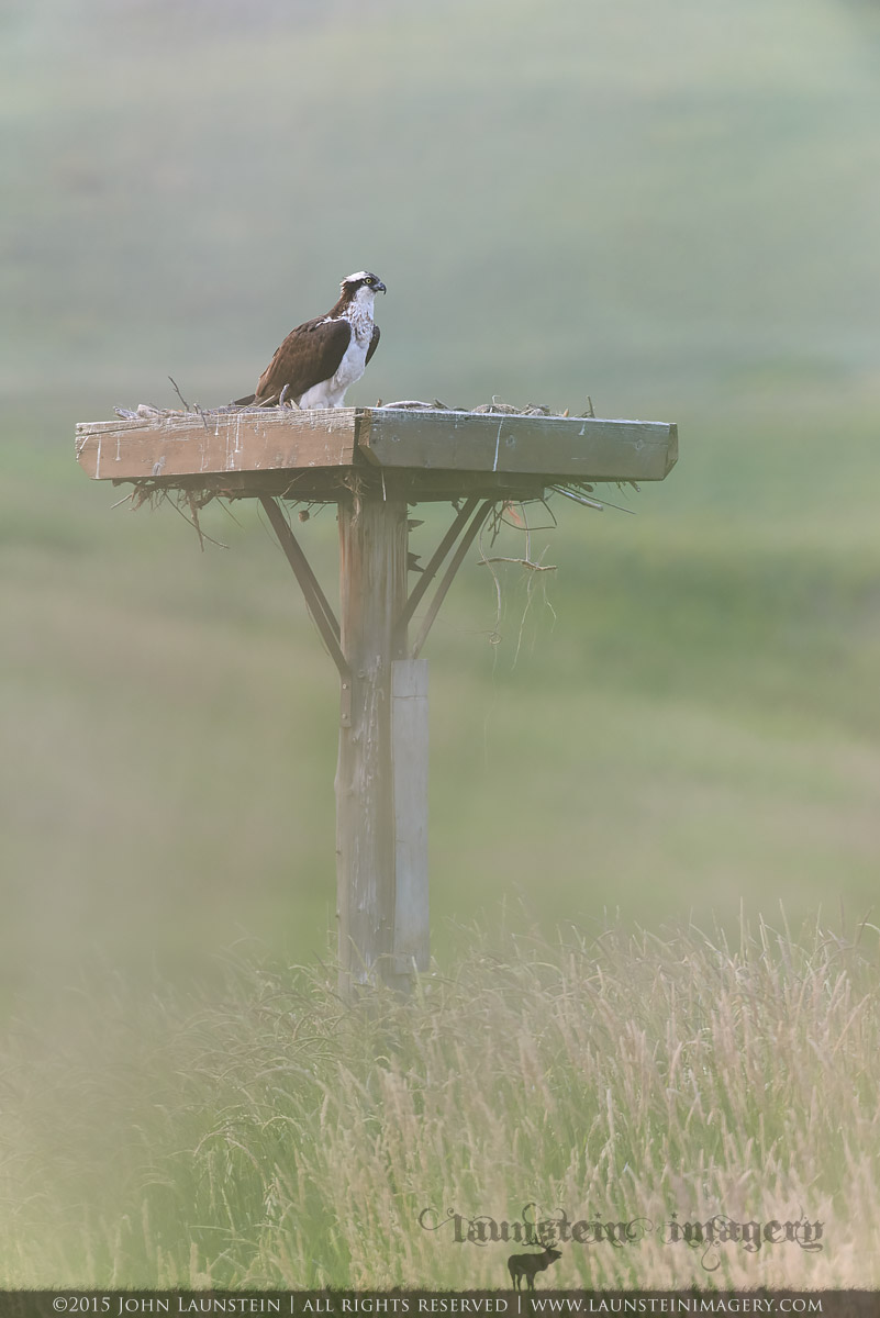 Conservation at Work