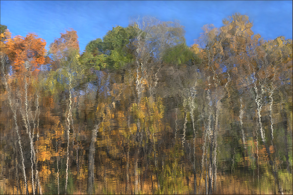 Autumn Impressions