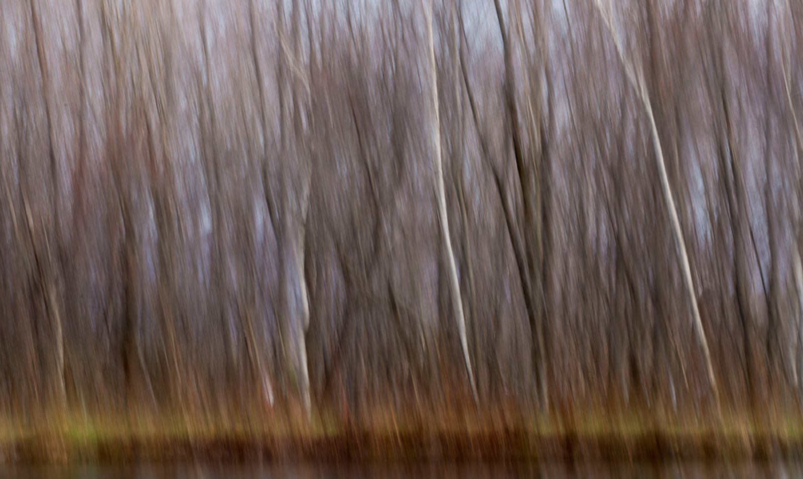 Autumn  Blur