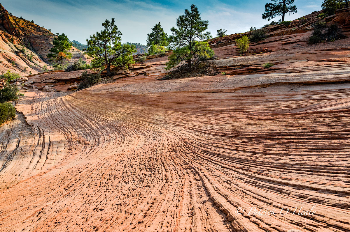 Zion mini-Wave