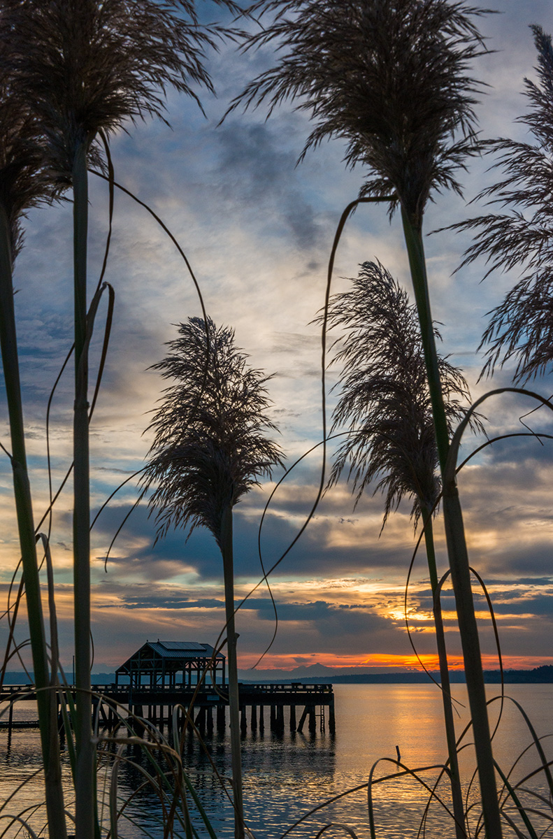 Thru the Pampas