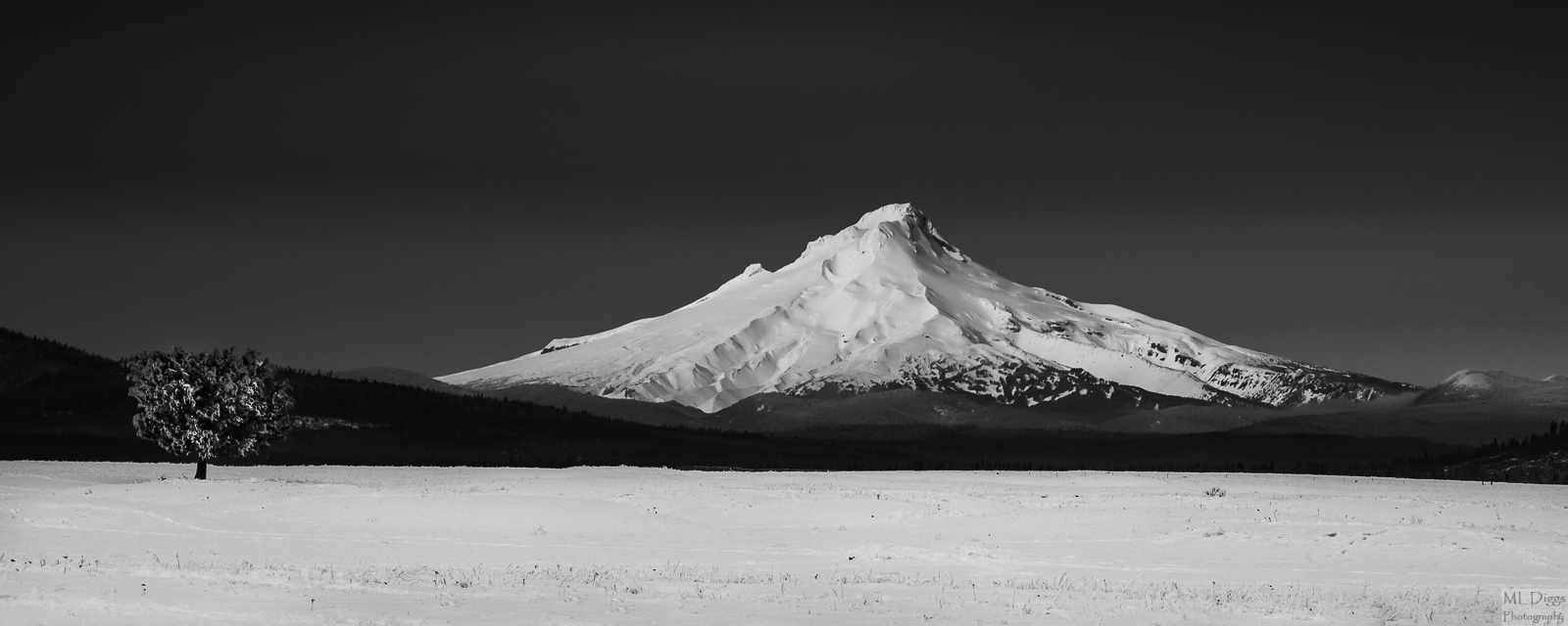 Scroll 4 Repost of Mt Hood w/ Juniper