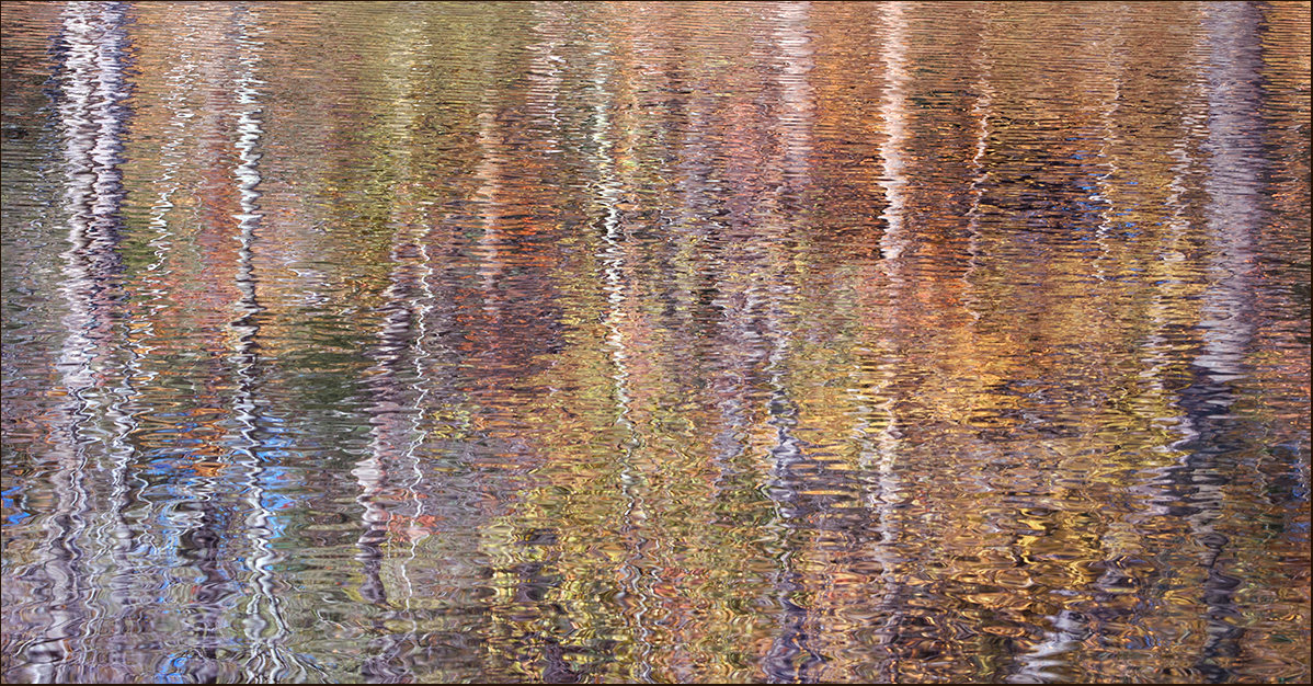 Autumn Impressions 4