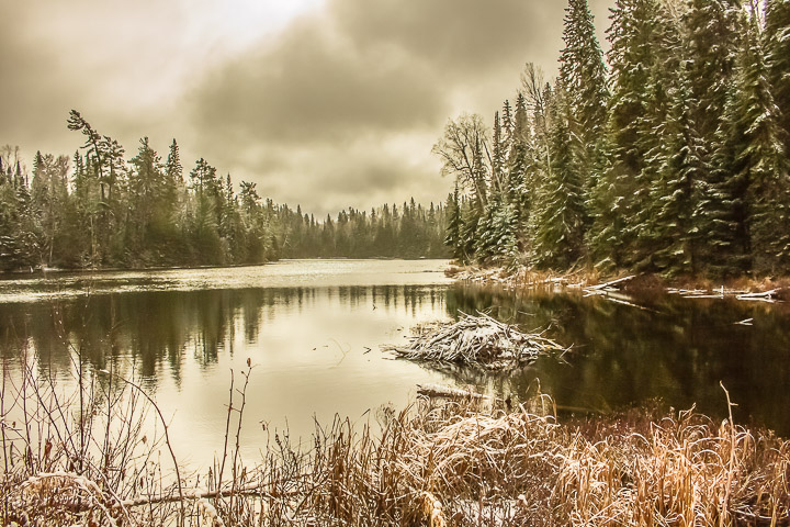 Winter Comes to the Pond