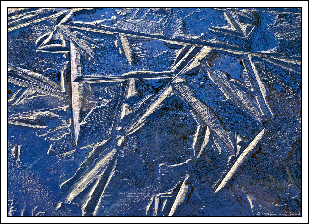 Yosemite Details #14