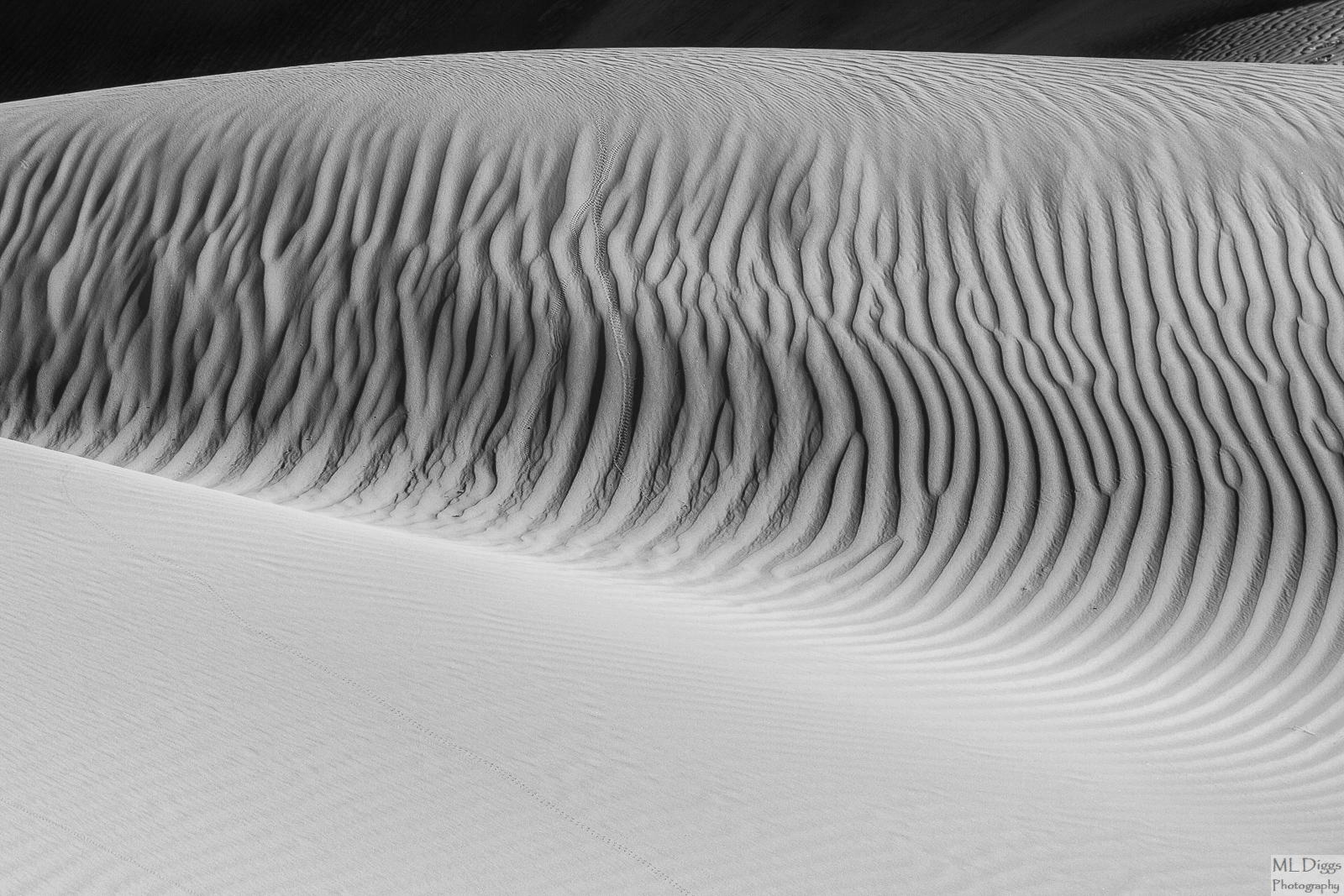 Monochromatic Dune + Repo