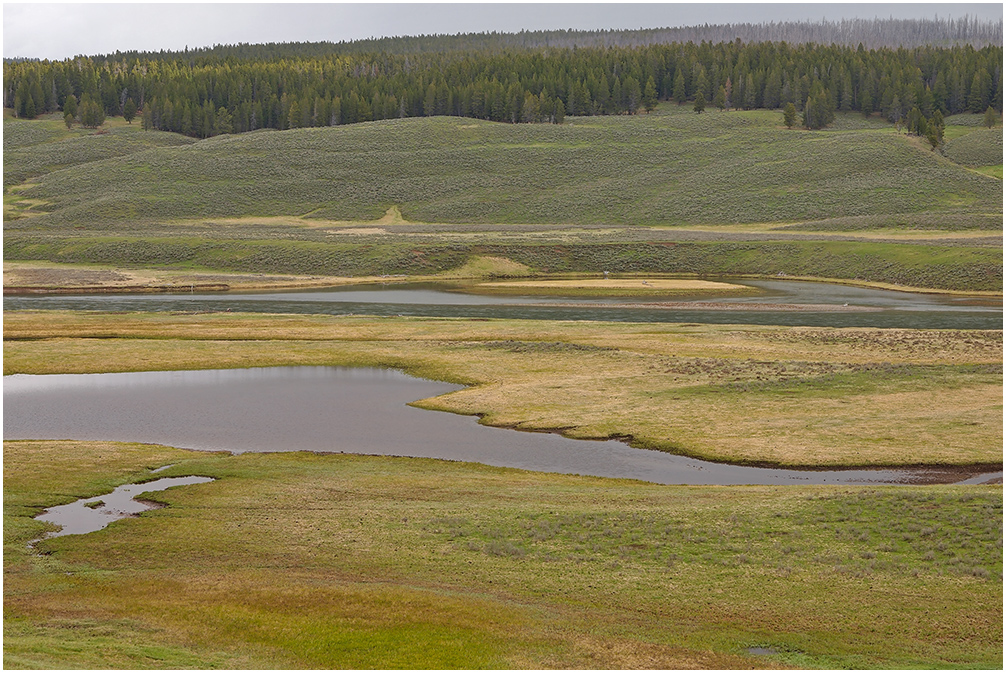 Lamar Valley