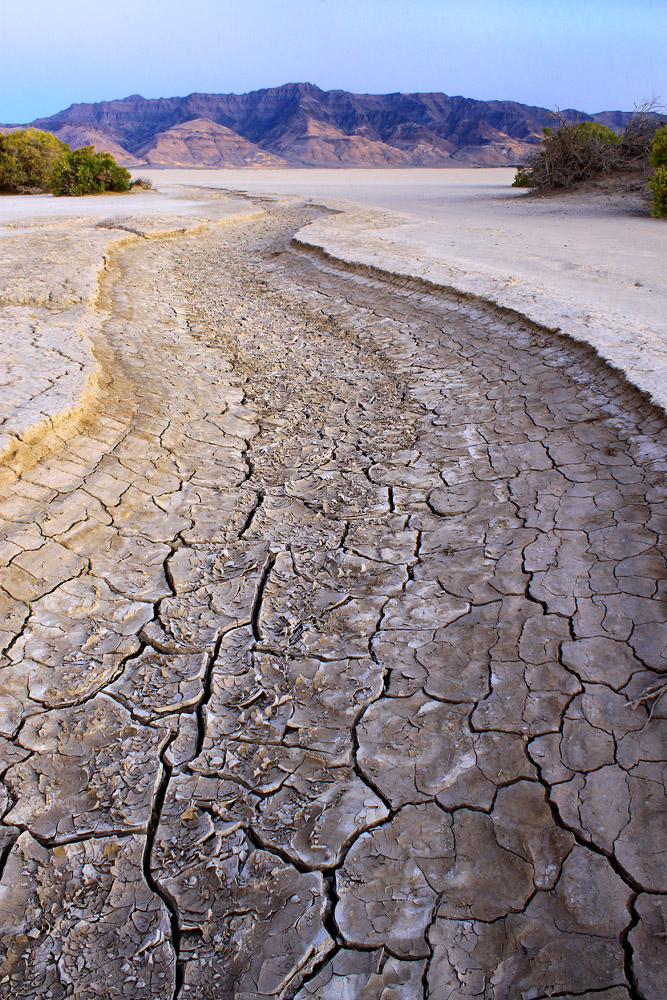 Dry Water