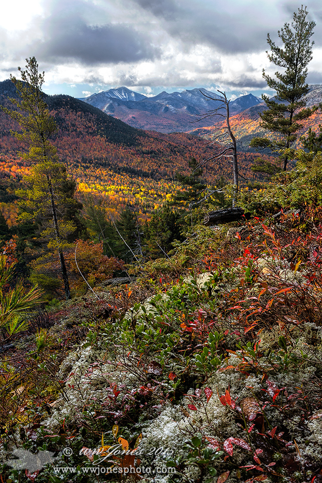 A Dusting of Autumn Snow