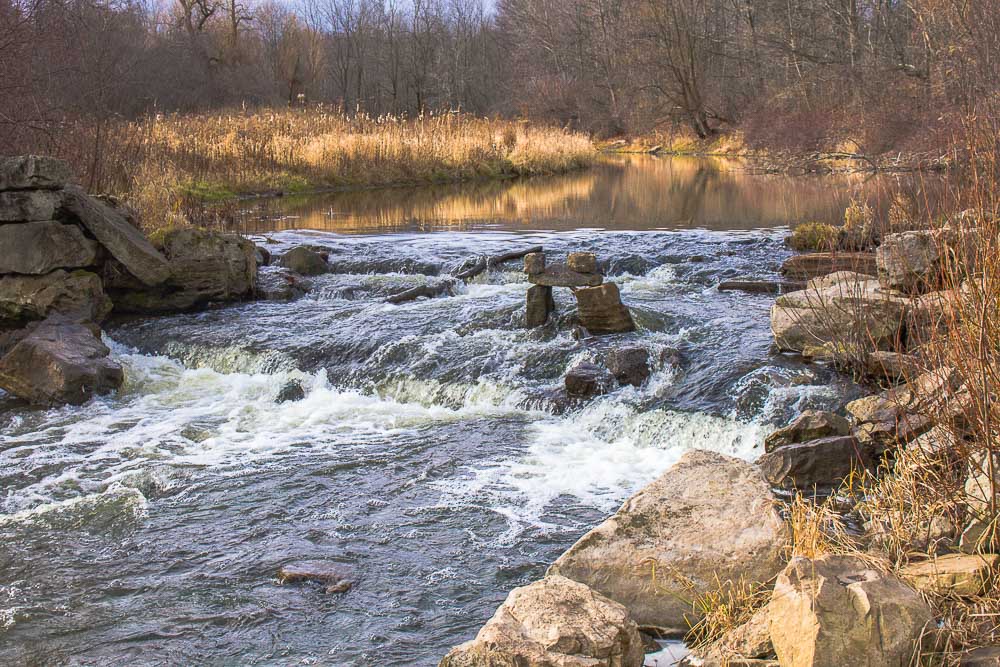 Afternoon at the River