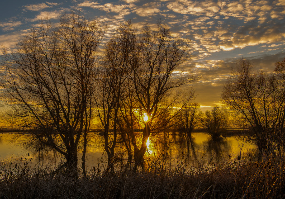 Sac Valley Sundown