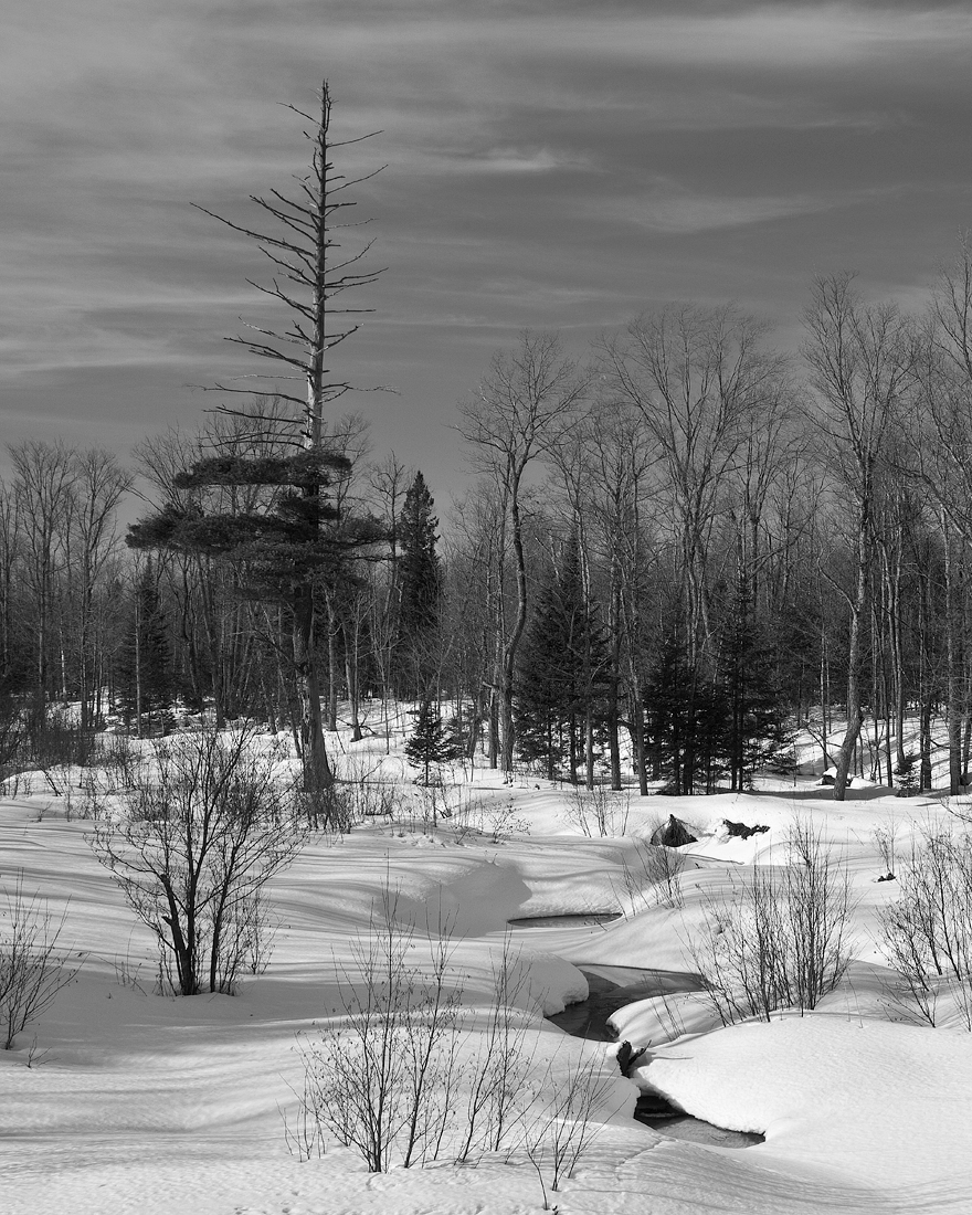 A Winter Day +rp