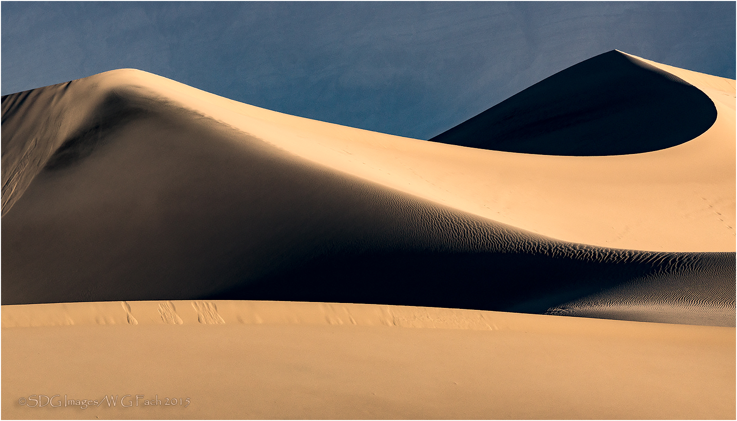 Beckoning Shadows