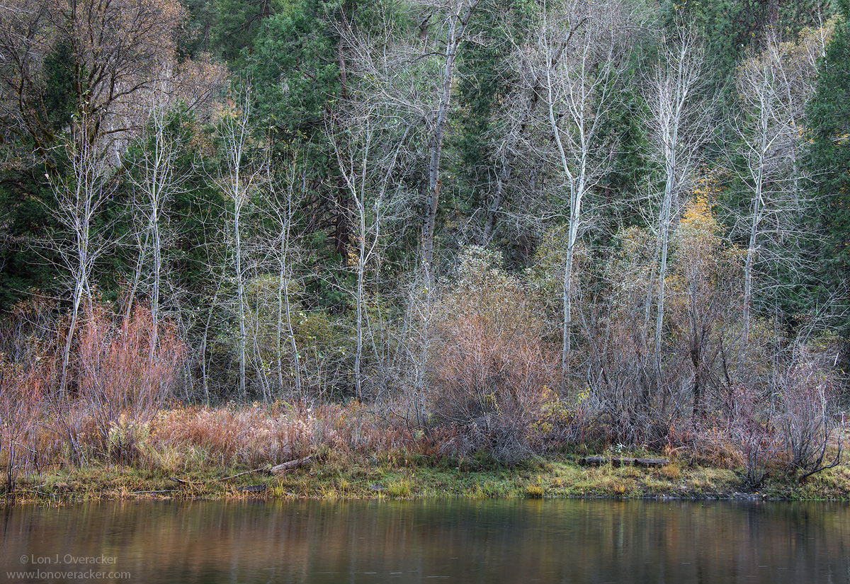 Merced River Scenic