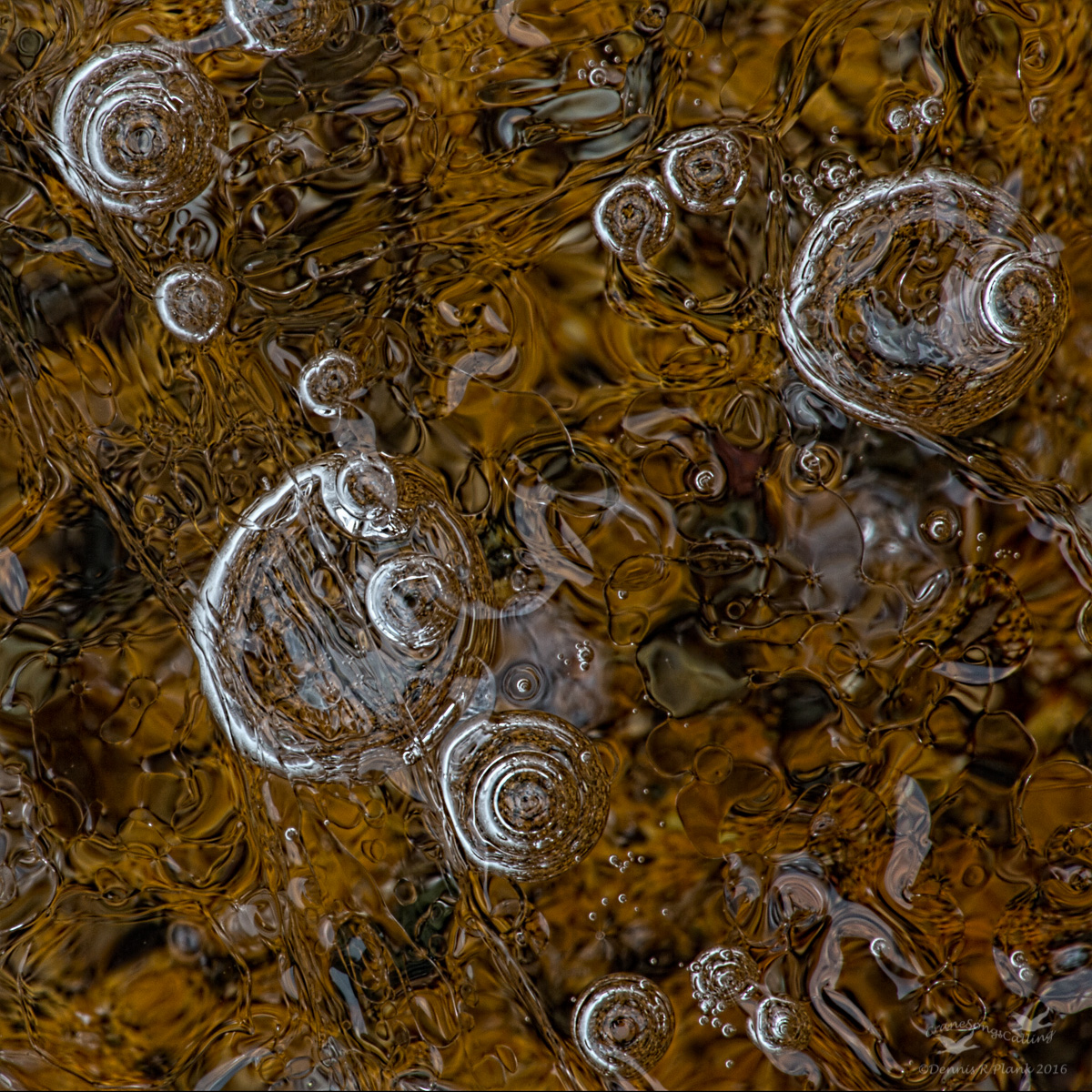 Ice Bubble Abstract II