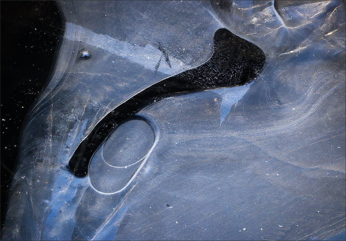 Ice & Frost Abstract