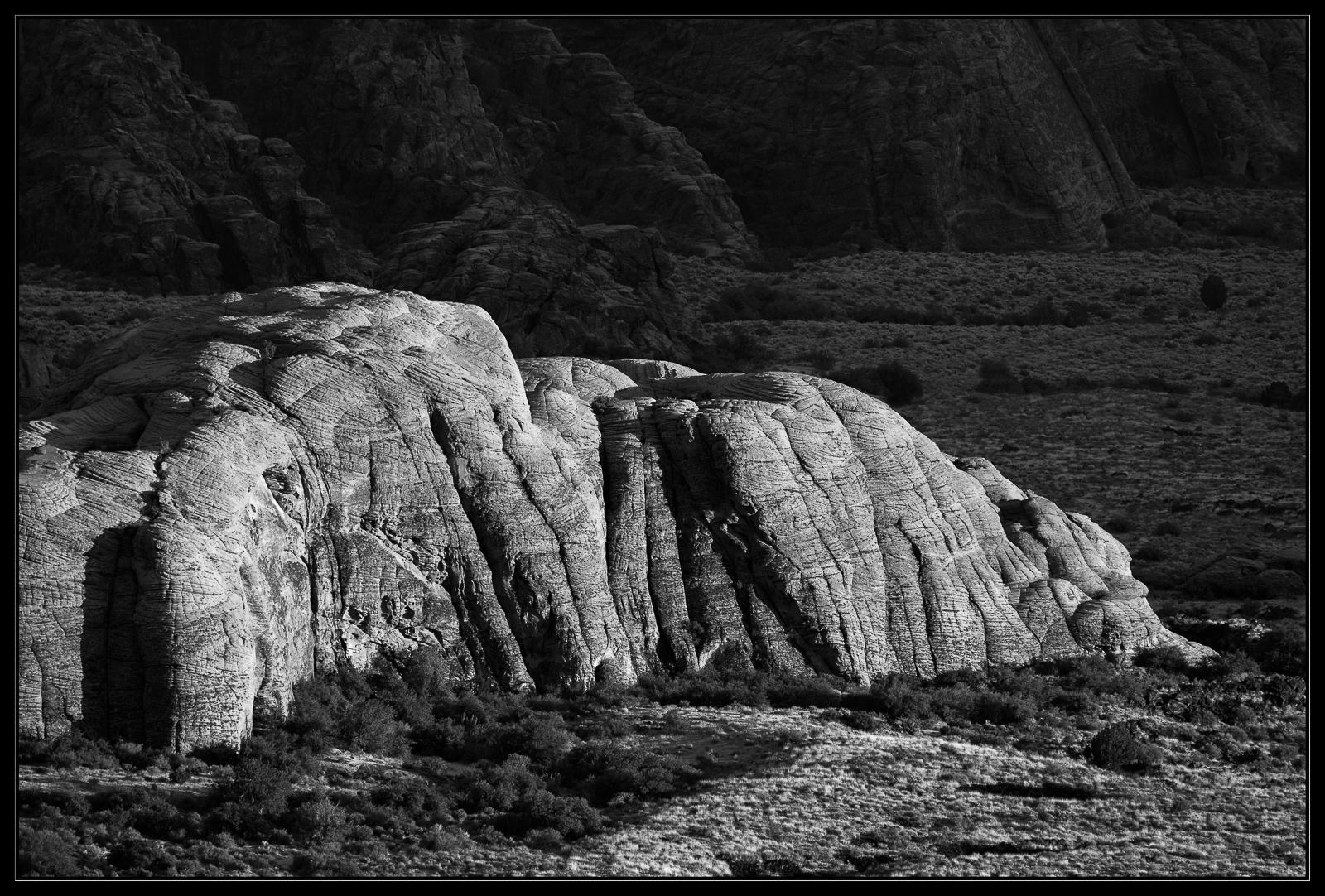 Illuminated Dune