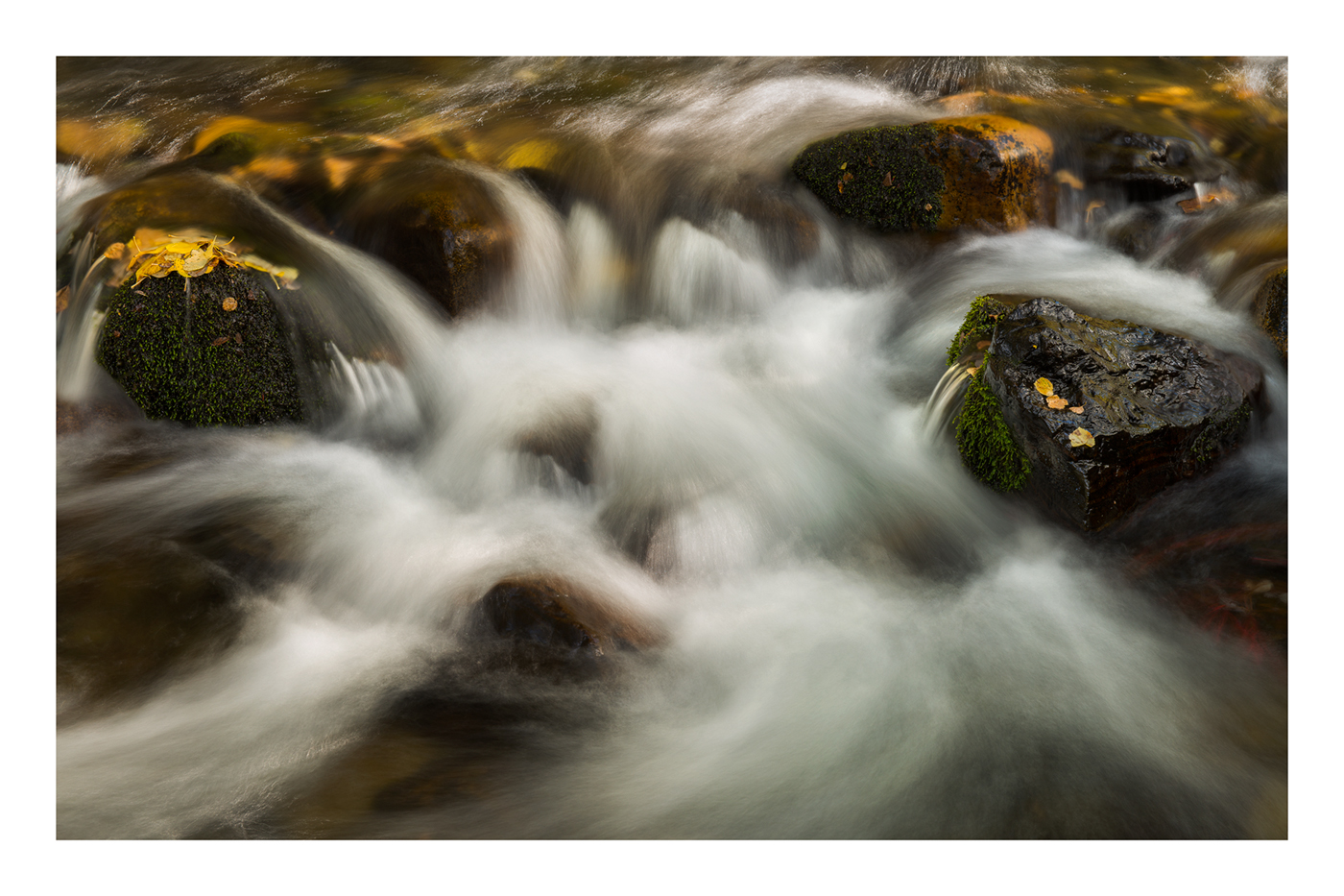 Light, Water, Motion!
