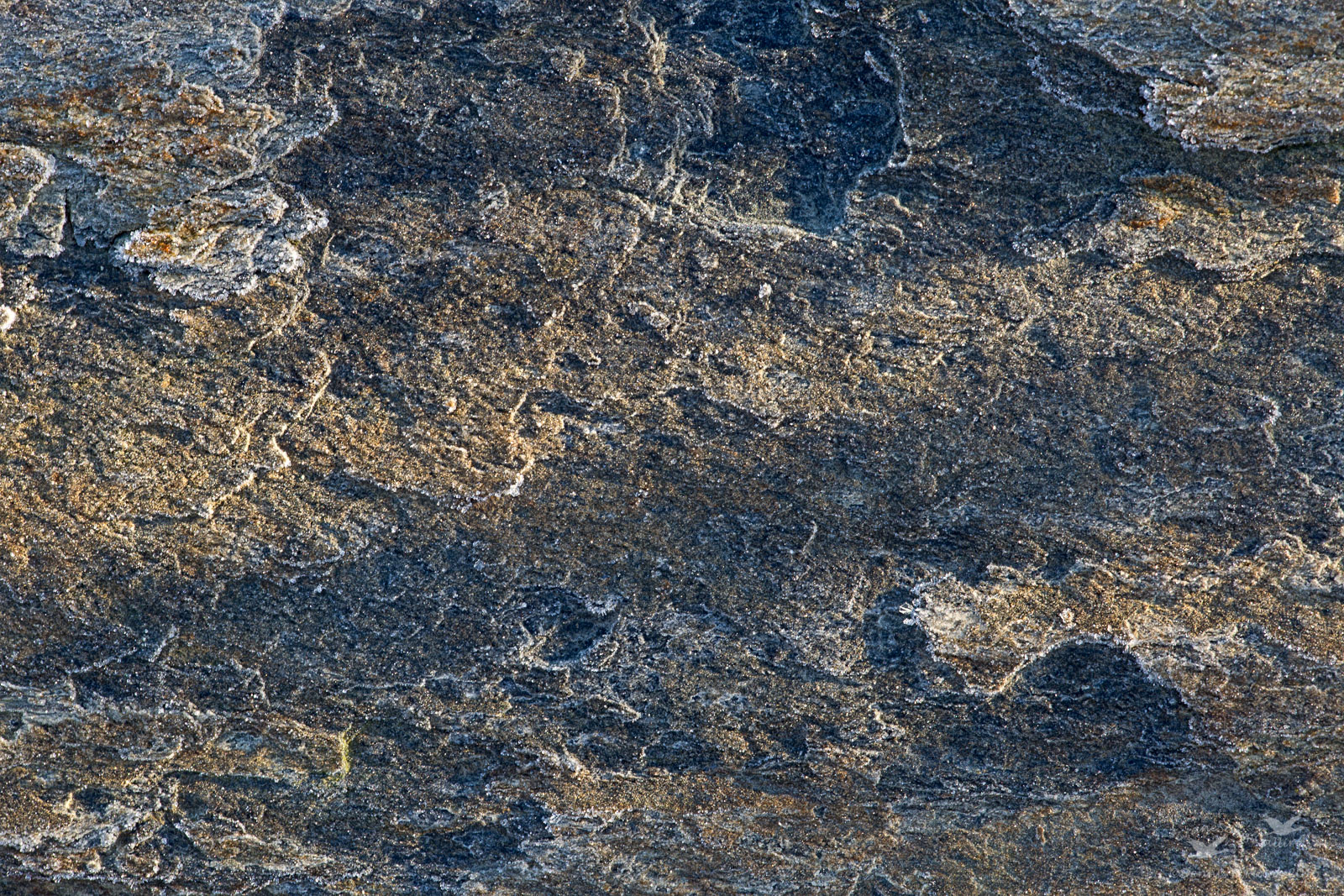 Rockscape