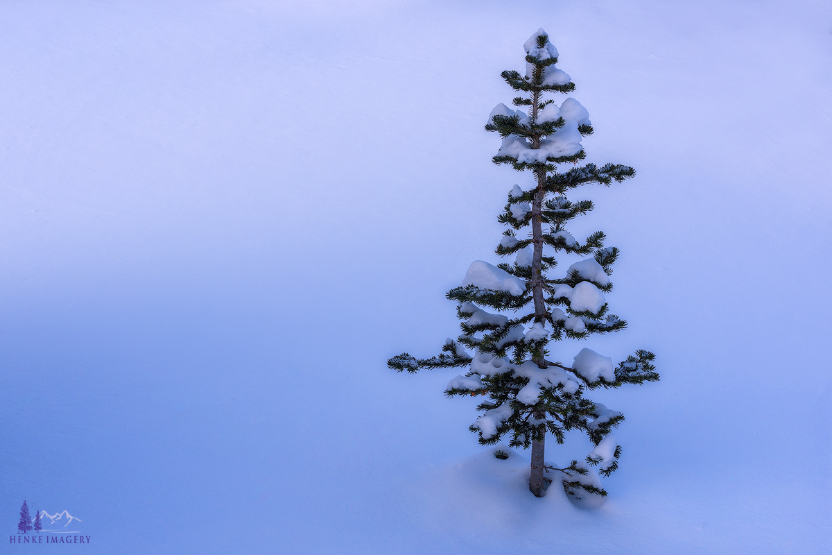 Winter Blue