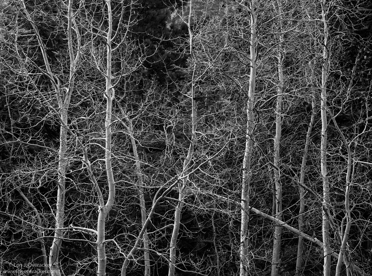 Aspen Chaos