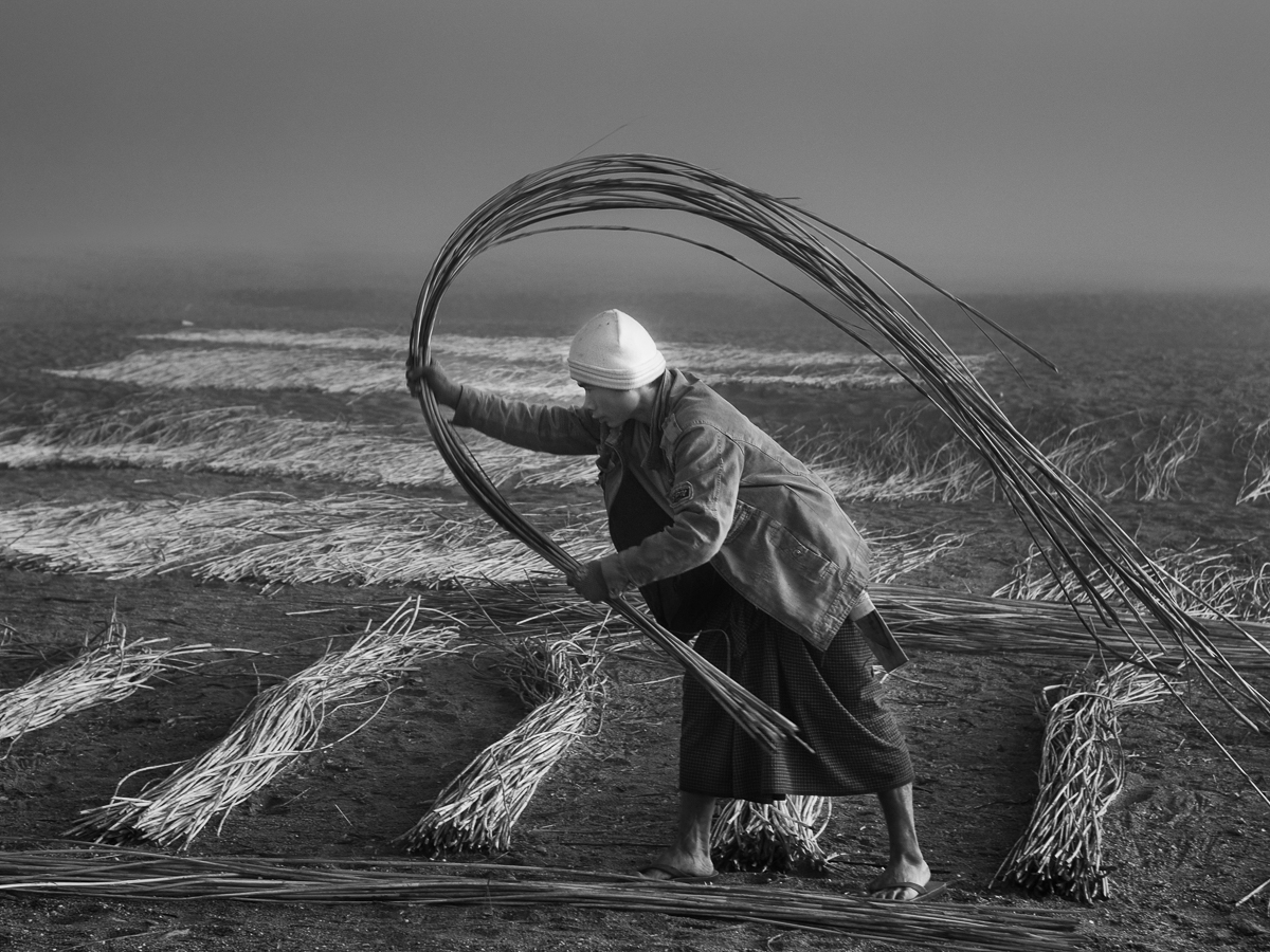 Reed Man