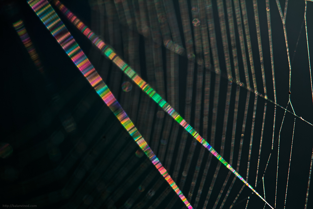 Iridescent